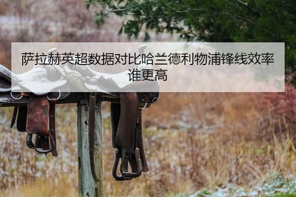 萨拉赫英超数据对比哈兰德利物浦锋线效率谁更高