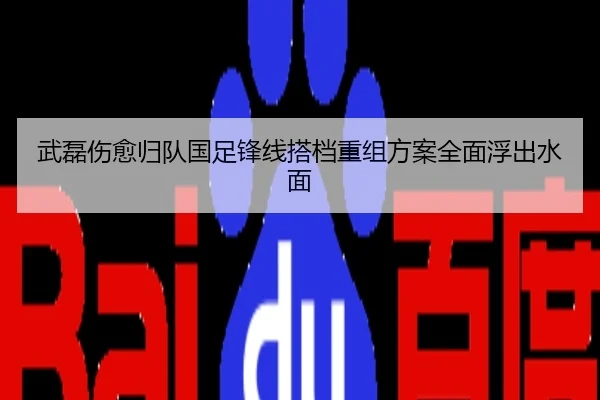 武磊伤愈归队国足锋线搭档重组方案全面浮出水面